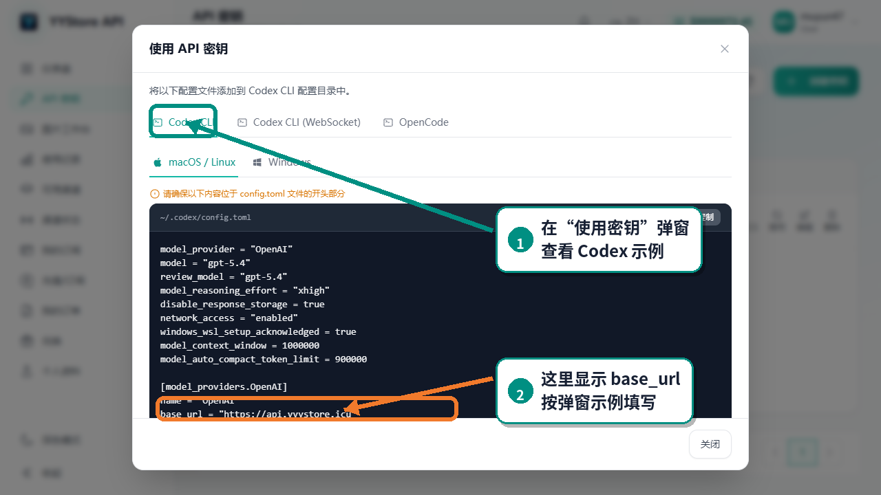 使用 API 密钥弹窗里的接入示例